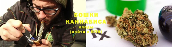 крисы Аркадак