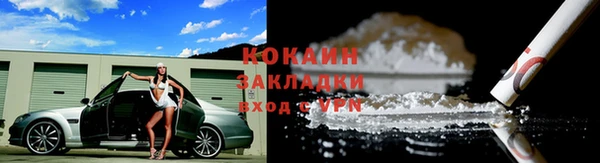 крисы Аркадак