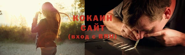 крисы Аркадак