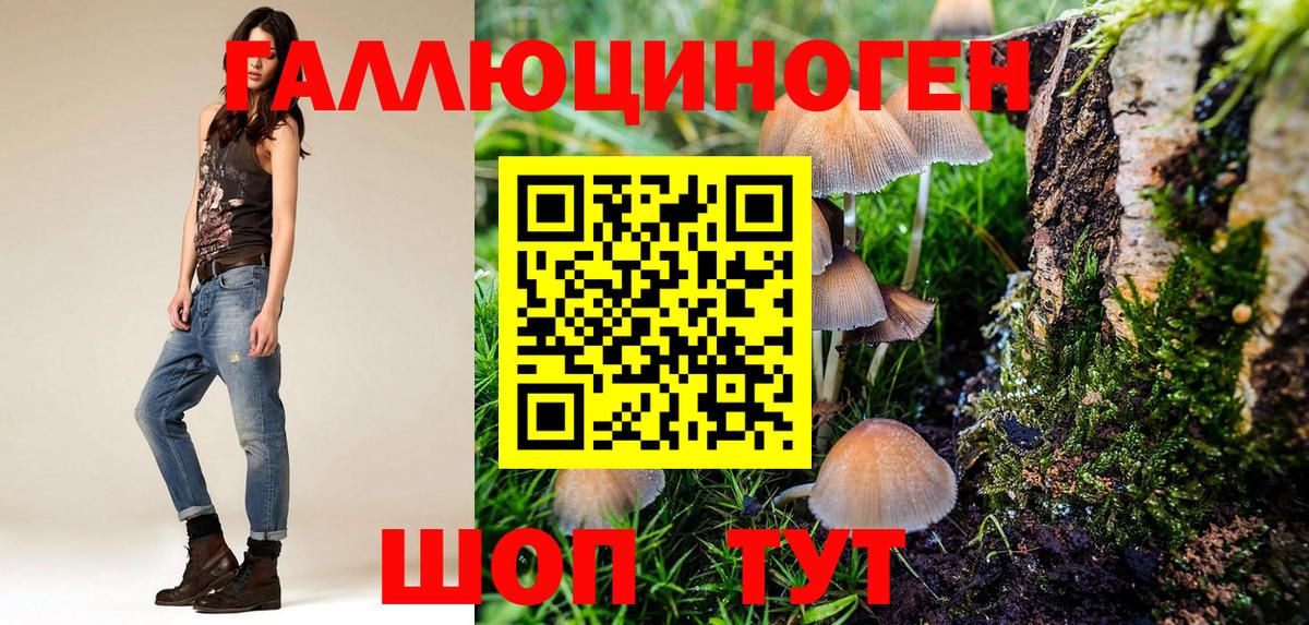 Тверь  Галлюциногенные грибы Magic Shrooms  Псилоцибиновые грибы Psilocybine cubensis  Вход с VPN 