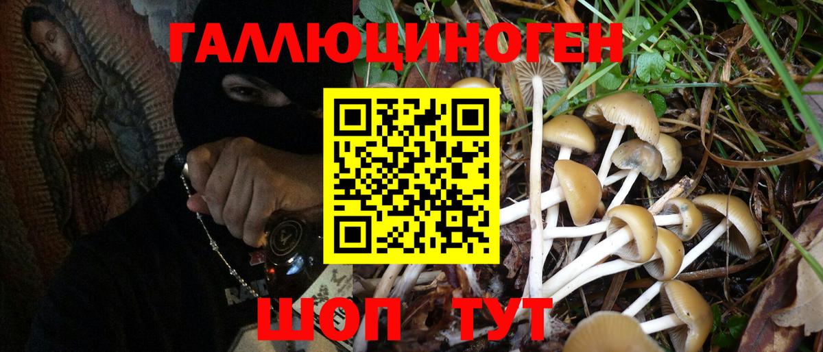 Псилоцибиновые грибы ЛСД Тверь
